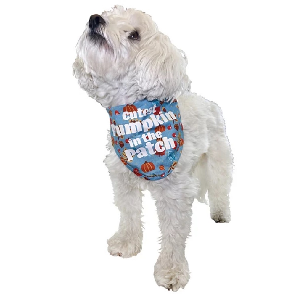 NWT! Cute Fall Dog Scarf